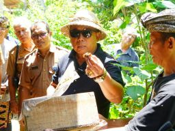 Miliki Prospek Cerah, Bupati Tamba Siapkan Bantuan Pendampingan Peternak Madu Kele