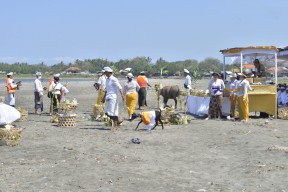 Pemkab Jembrana Gelar Upacara Melabuh Gentuh Uncal Balung di Pantai Muara Perancak