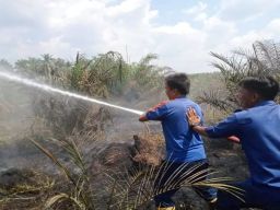 Lahan Sawit Milik Pensiunan Polisi di Muara Enim Terbakar