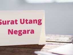 Target Rp14 Triliun, Pemerintah Gelar Lelang SUN Pekan Depan