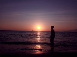 Habiskan Waktu di Bangsring Under Water Banyuwangi Bersama Huu-hiu Jinak