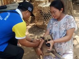 Peringati World Rabies Day, Pemkab Jembrana Gelar Sosialisasi dan Vaksinasi Rabies