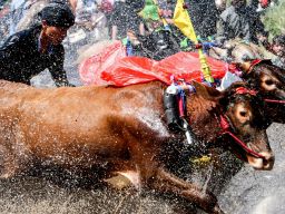 Periode Kedatangan dan Perkembangan Penduduk Asli Madura