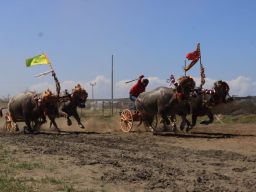 Sempat vakum , Mekepung Gubernur Cup digelar kembali