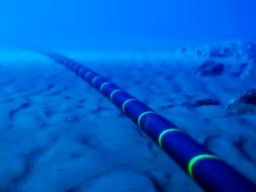 Google Bangun Kabel Laut ke Samudera Pasifik Lewat Indonesia