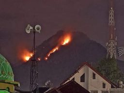 Kebakaran Gunung Panderman Makin Luas Hingga 29 Hektar, Hewan-hewan Mengungsi