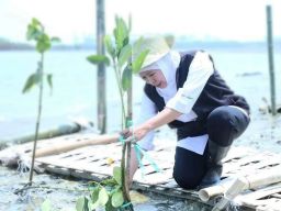 Khofifah Tanam 10.000 Mangrove pada Gelaran Festival Mangrove Jatim ke V