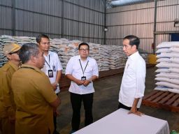 Jokowi Cek Stok Beras dan Bagi Bantuan Pangan CBP di Nagekeo NTT