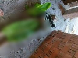 Penemuan Mayat 25 Tahun di Lokasi Produksi Batu-bata Banyumas Tanpa Busana