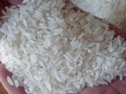 Dari Tahun 2022, Konsumsi Beras di Jawa Timur Naik 6,34 Kg per Kapita per Bulan