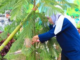 Gubernur Khofifah Indar Parawansa Mengajak Masyarakat Ikut dalam Gerakan Sedekah Oksigen
