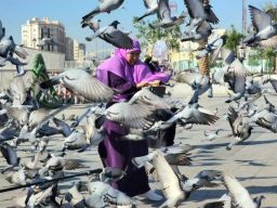 Khofifah Indar Parawansa Tertangkap Kamera Memberi Makan Merpati di Mesjid Quba