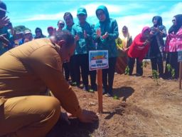 Gerakan Tanam Cabai di Papua Barat Dicanangkan untuk Atasi Krisis Pangan Nasional