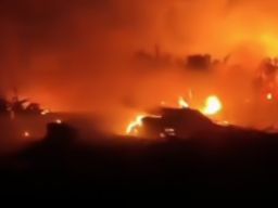 Indonesia Hadapi Anomali Bencana Alam, Kebakaran Hutan di Tengah Musim Hujan