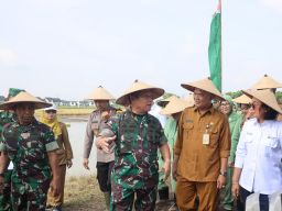 Kodam V Brawijaya Genjot Upaya Ketahanan Pangan dengan Menanam Padi dan Jagung