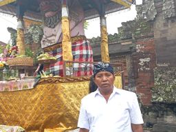 Desa Adat Tegal Gelar Tradisi Ngerebek Wrespati Ngepik yang Dilakukan Selama 400 Tahun