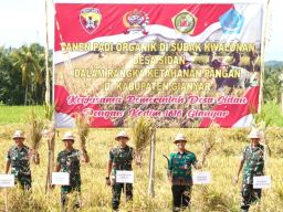 Pangdam IX Udayana Hadir di Panen Padi Organik, Kades Desa Sidan Ungkapkan Apresiasi