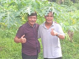 Transformasi Agro Wisata Tulikup: Potensi Destinasi Wisata Unggulan yang Ramah Lingkungan