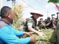 Panen Raya Serentak di Jatim, Mayjen TNI Rafael Singgung Stabilitas Ketersediaan Pangan