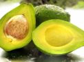 Ternyata Alpukat Bermanfaat untuk Kesehatan