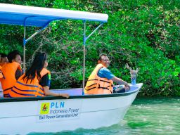 PLN Sukses Kembangkan Hutan Mangrove di Sekitar Pembangkit Pesisir Denpasar