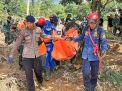 Tim SAR Gabungan TNI Polri Evakuasi Dua Korban Banjir Luwu, Ditemukan Bayi Meninggal