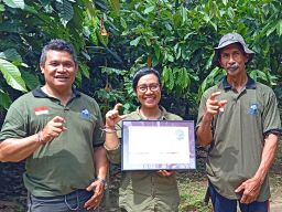 Suksesnya Proses Pendampingan Petani Kakao Organik hingga Tembus Pasar Ekspor Dunia