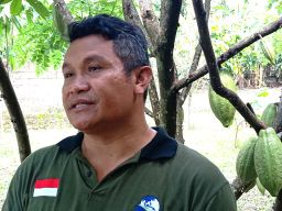 Ketua Koperasi Kakao Kerta Semaya Samaniya Berbagi Sukses dengan Petani Kakao