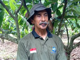 Patani Kakao dari Desa Candi Kusuma Raih Sukses Bersama Koperasi Kakao Kerta Semaya Samaniya