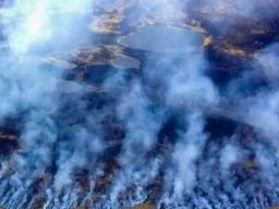 Artik Kembali Dilanda Kebakaran, Emisi Karbon Mencapai Level Tinggi dalam 5 Tahun Terakhir