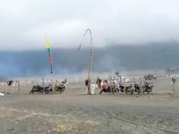 Kebakaran Kembali Melanda Kawasan Gunung Batok Bromo, 50 Hektar Lahan Hangus