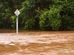 Distrik Kokoda Utara Terendam Banjir, Warga Tiga Kampung Mengungsi ke Hutan dan Desa Terdekat