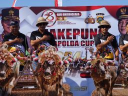 Sirkuit All In One Jembrana Gelar Mekepung Kapolda Cup 2024
