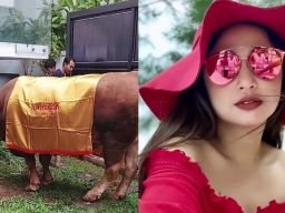 Dewi Perssik Pilih Sembelih Sapi di Rumah untuk Hindari Kesalahpahaman Bak Tahun Lalu