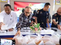 Tim SFQR Lanal Banyuwangi Gagalkan Penyelundupan Baby Lobster
