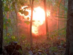 Wonogoro Malang Jadi Medan Tempur Sengit, Terjadi Baku Tembak Prajurit Marinir
