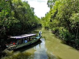 Pemkot Surabaya dan WVI Gelar Konservasi Mangrove di Gunung Anyar