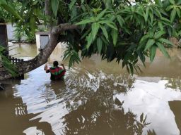 Banjir Rendam 6 Kecamatan di Sidenreng Rappang, 718 KK Terdampak
