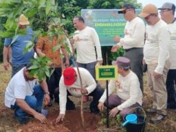 Kejaksaan Tinggi dan Pemprov Papua Barat Tanam 200 Pohon di Manokwari Selatan