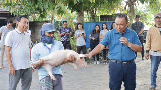 Pemkab Jembrana Dorong Pengembangan Usaha Ekonomi Peternakan
