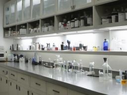 MHKI Kritik PP Nomor 28 Tahun 2024 tentang Pelaksanaan UU Kesehatan