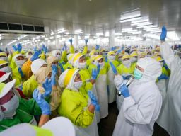 Khofifah Indar Parawansa dan Bupati Karna Tinjau Pabrik Udang Situbondo