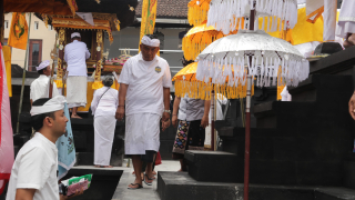 Bupati Tamba Mendem Pedagingan Pura Melanting Pasar Umum Negara