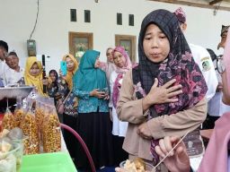 Ipuk Fiestiandani Dorong Penguatan Ekonomi Banyuwangi dengan Program Bantuan Usaha Mikro