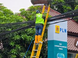 PLN Icon Plus Rapiakan Kabel Fiber Optic di Sidoarjo untuk Tingkatkan Keandalan Jaringan