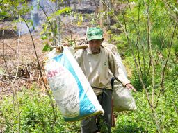 PLN Perluas Program Biomassa Berbasis Ekonomi Kerakyatan ke Desa Bojongkapol Tasikmalaya