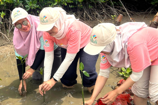 Jelang Tahun Baru, PLN Gandeng WWF Indonesia Jadi Perusahaan Pertama di Tanah Air Adopsi Kerangka Kerja TNFD