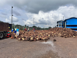 Sambut Ramadhan PLN Suplai Listrik Hijau, PT Inecda Plantation Serap 592 Unit REC