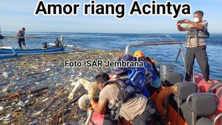 Tragis! Jenazah Mengapung di Tengah Sampah Gegerkan Warga Gilimanuk