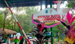 Wajah Wisata Mangrove Surabaya Megah di Atas Kertas, Realitanya Masih Tertinggal Kritik Cak YeBe
